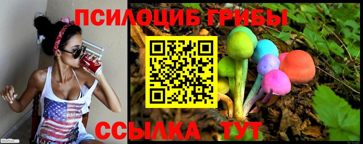 Таганрог  Псилоцибиновые грибы Psilocybe  где найти   Вход с VPN 